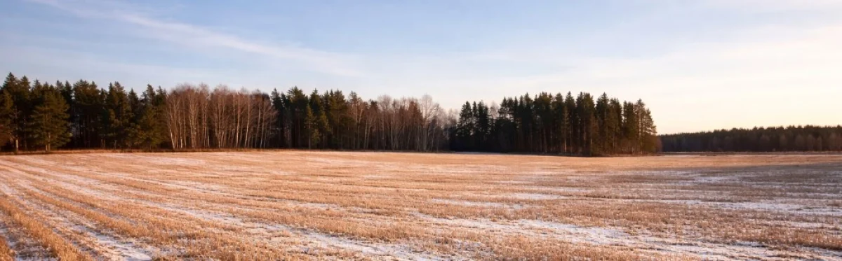 Plan nawożenia na nowy sezon – jak przygotować strategię zimą?