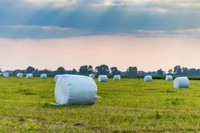 Efektywne pakowanie plonów