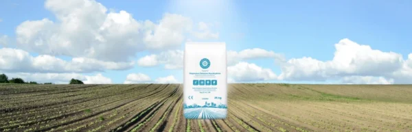 Siarczan magnezu dolistnie: jak zaplanować zabiegi i z czego wynikają realne korzyści