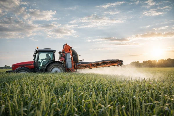 Nawożenie pszenicy ozimej krok po kroku