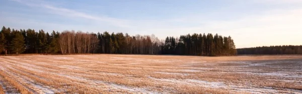 Plan nawożenia na nowy sezon – jak przygotować strategię zimą?