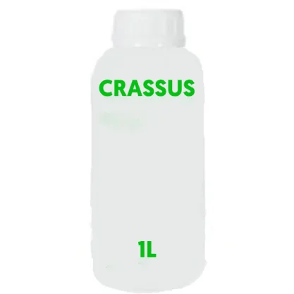 INSEKTYCYD CRASSUS 1 L