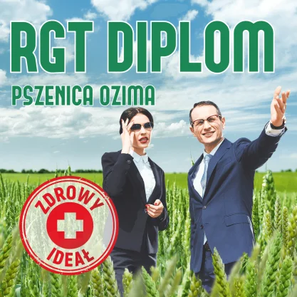 PSZENICA OZIMA RGT DIPLOM  1 tona w op. 50 kg