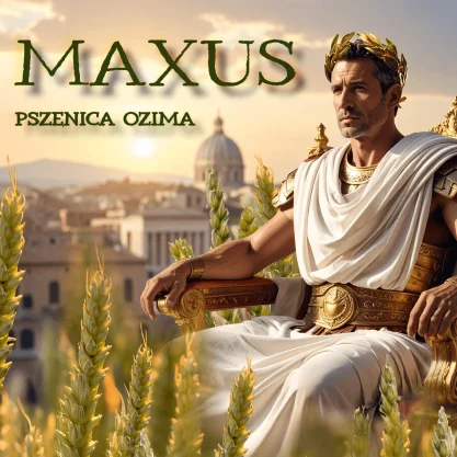 PSZENICA OZIMA MAXUS 1 tona w op. 50 kg