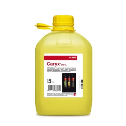 FUNGICYD CARYX 240 SL 5 L