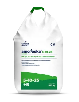 AMOFOSKA NPK 5-10-25+Ca+S 500 kg