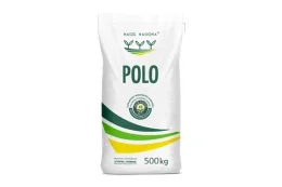 PSZENŻYTO OZIME POLO op.500 kg